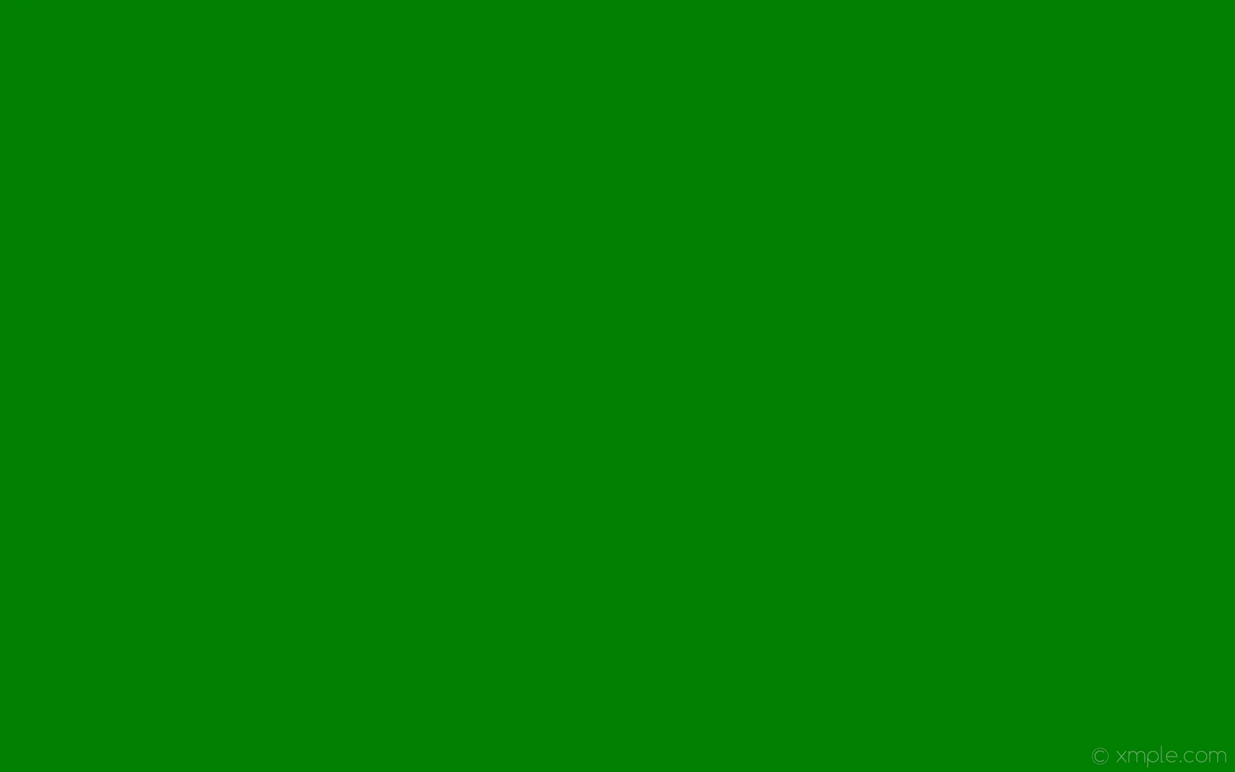 solid-color-one-colour-single-plain-green-2560x1600-c-008000-f-24.jpg