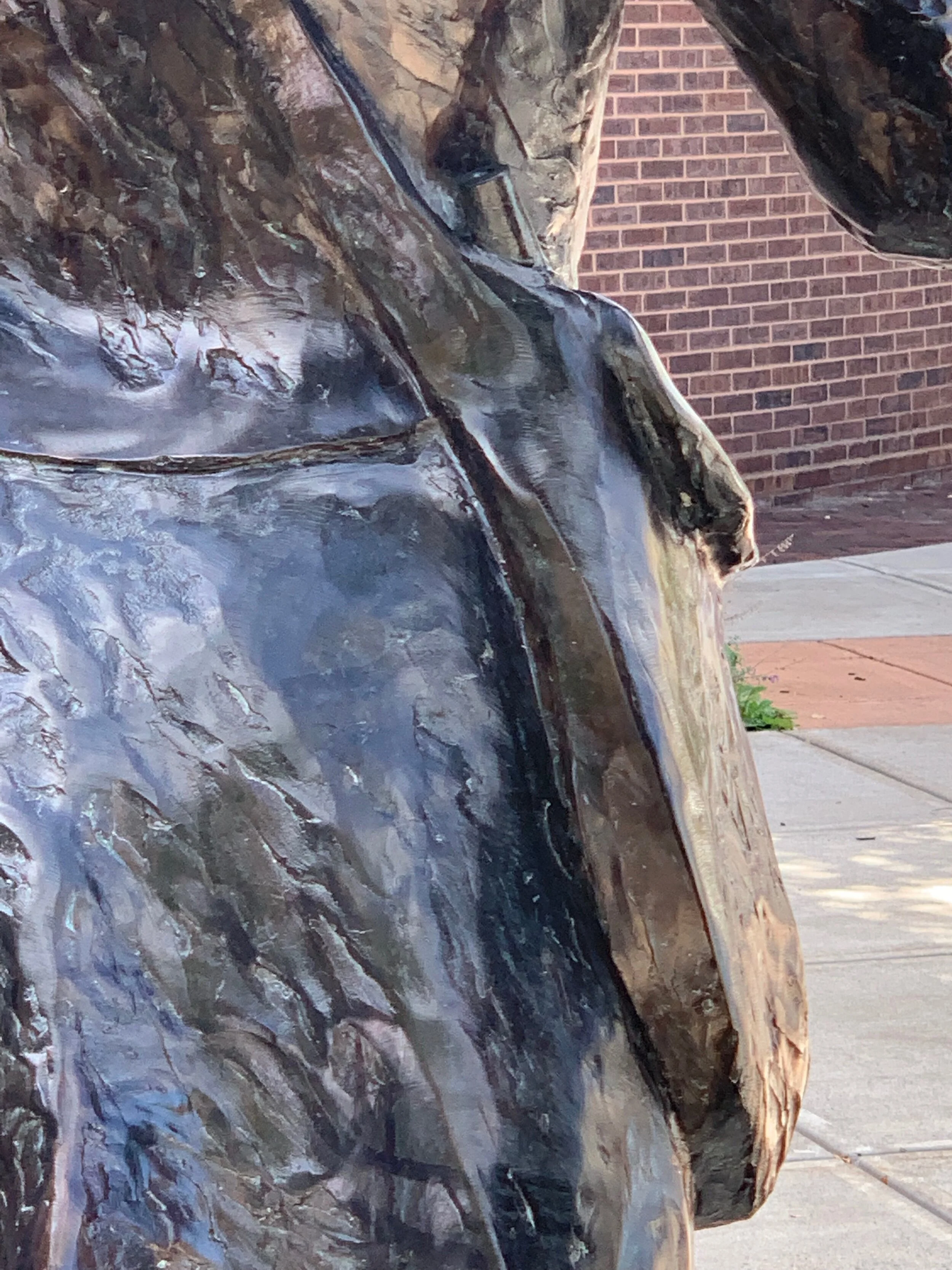 IMG_7798.jpeg