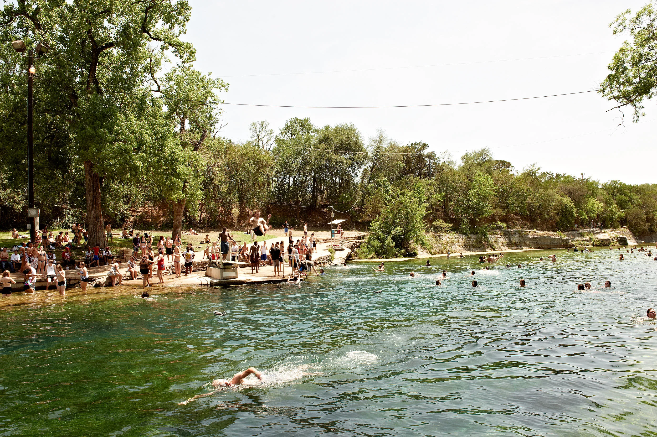 BartonSpring3.jpg