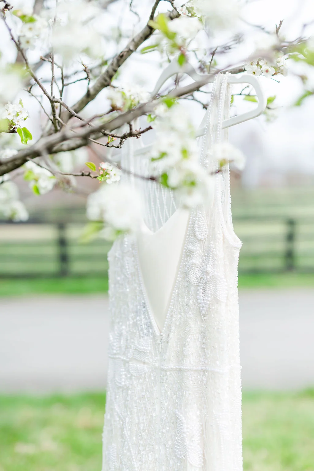 MaA_SS_41119_37435.jpg