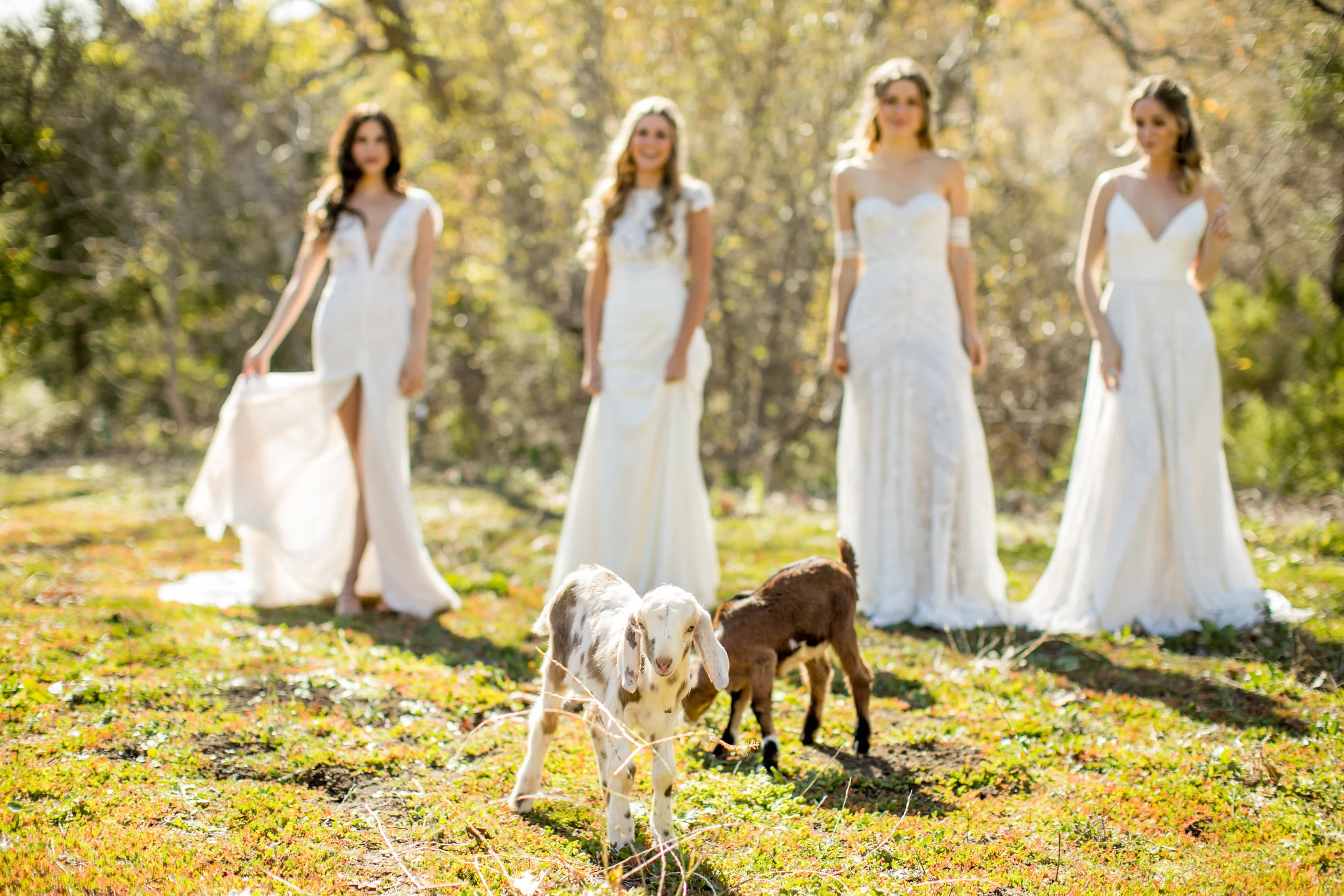 cameron_ingalls-higuera_ranch-AAE_windup-0227.jpg