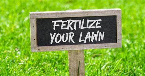 TEAM Fertilizer Sale