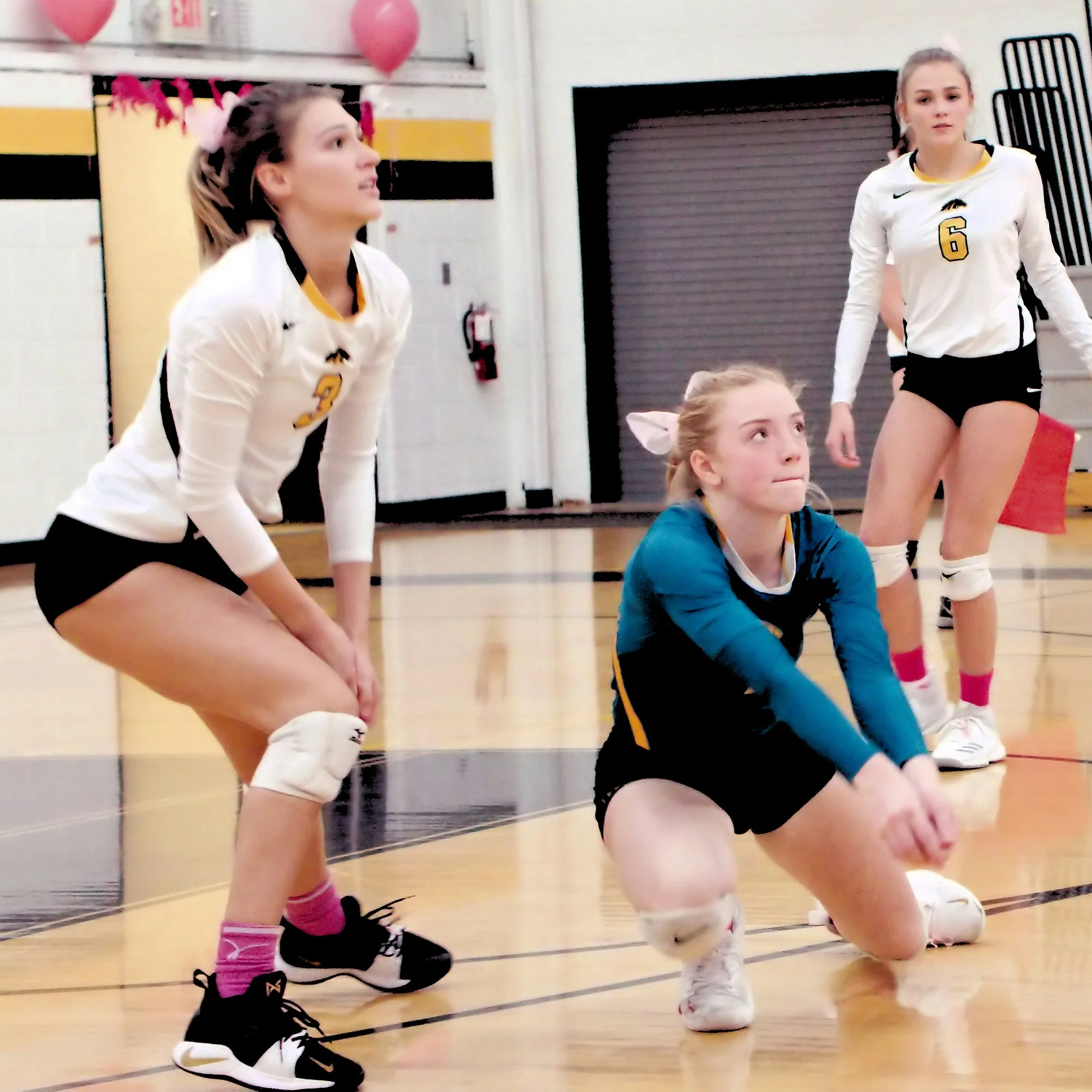Lutheran North Volleyball