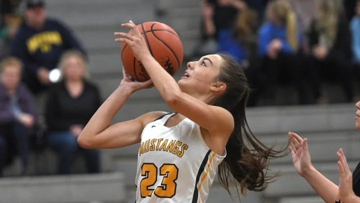 Madeline DiLella sparks Lutheran North to basketball victory over Almont