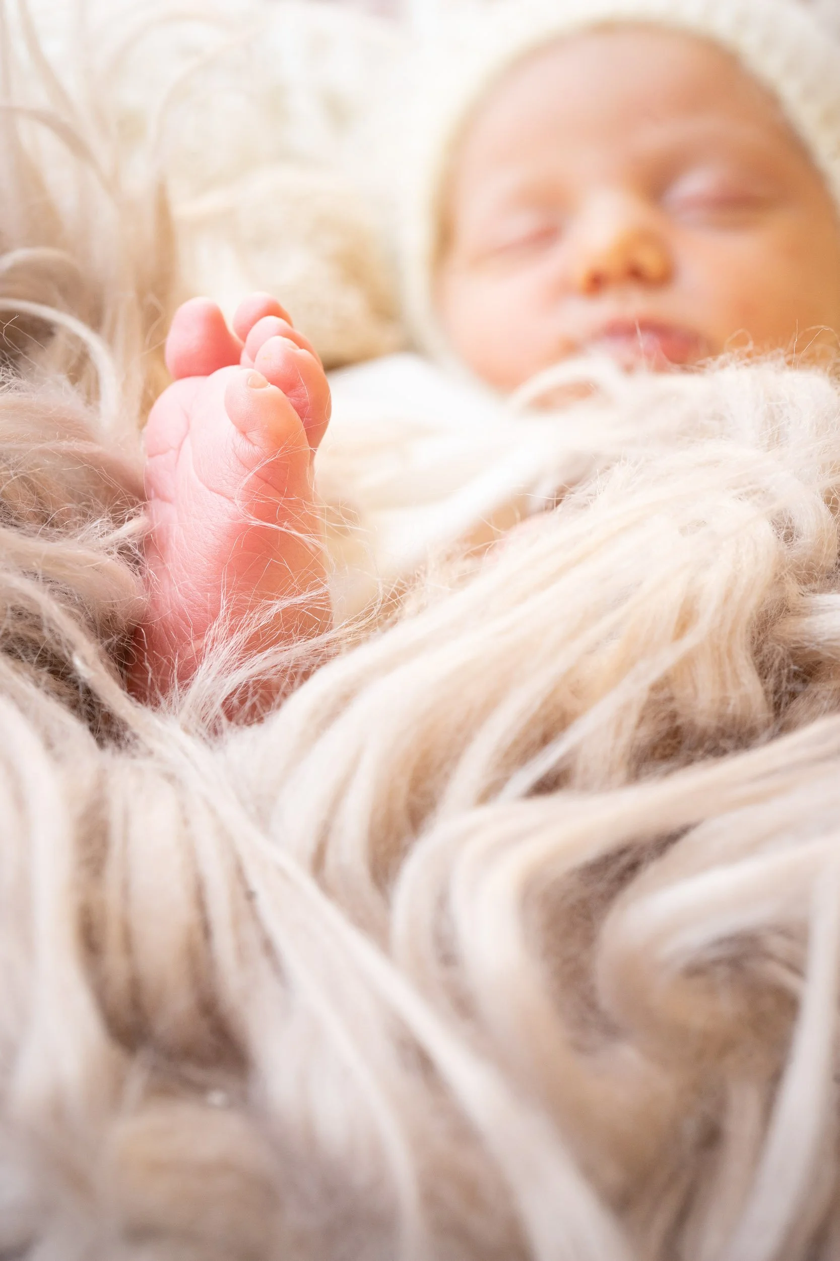 Babyfotografie Oldenburg - natürliche Babyfotografie