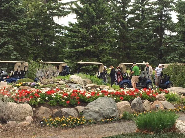 AMBA Newsletter: Spring/Summer 2019