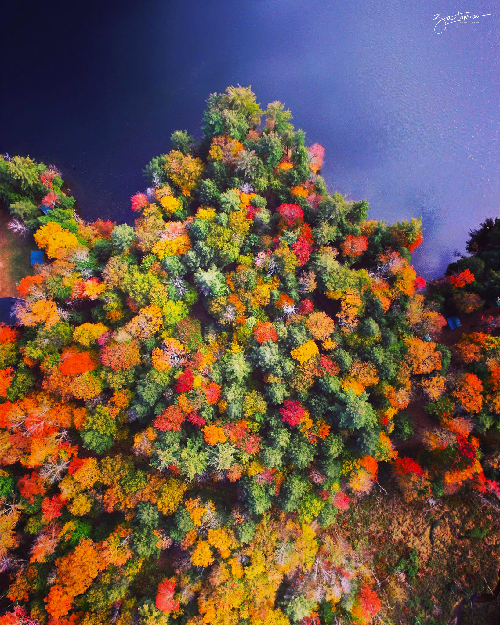 fallcolors.jpg