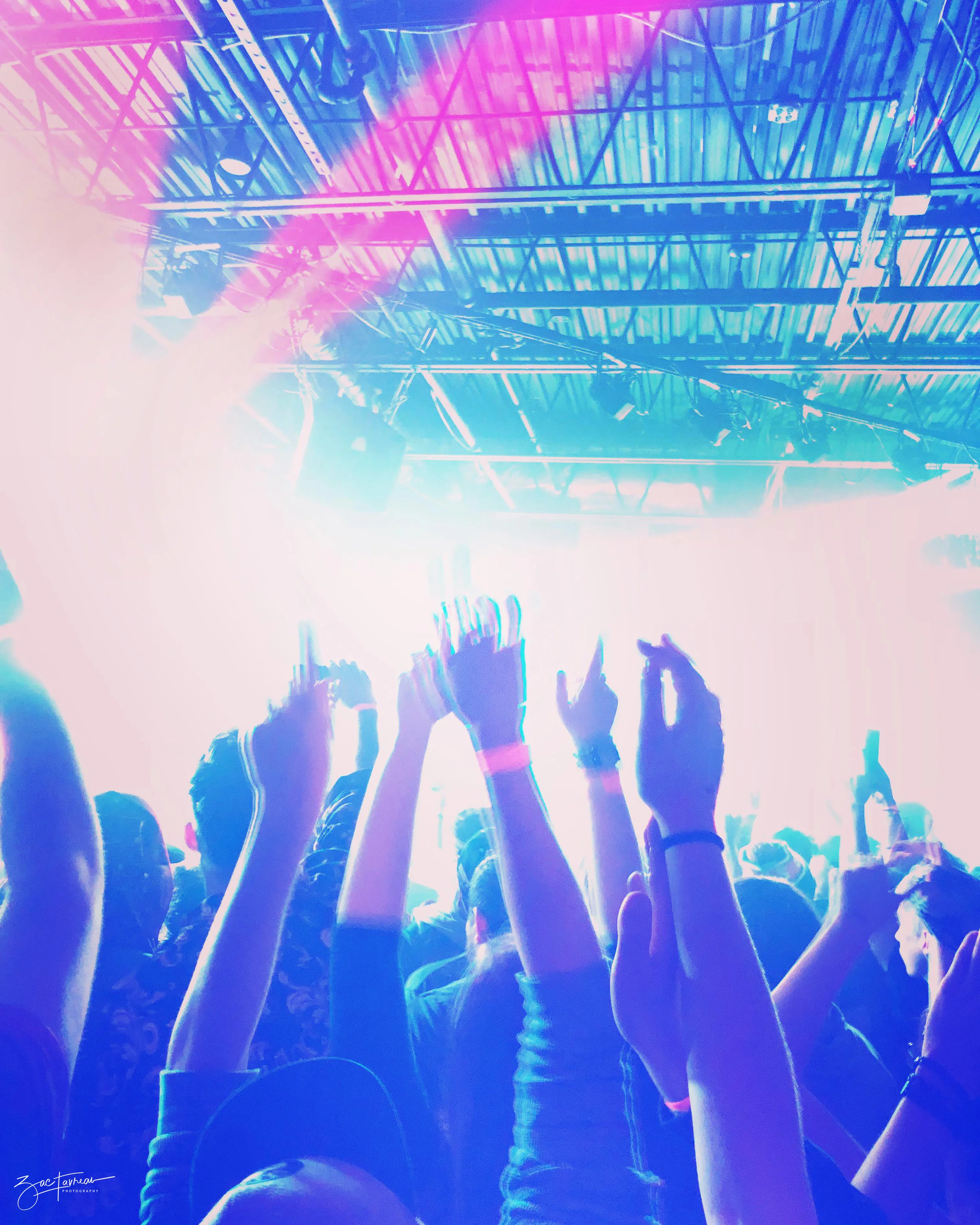 concert.jpg