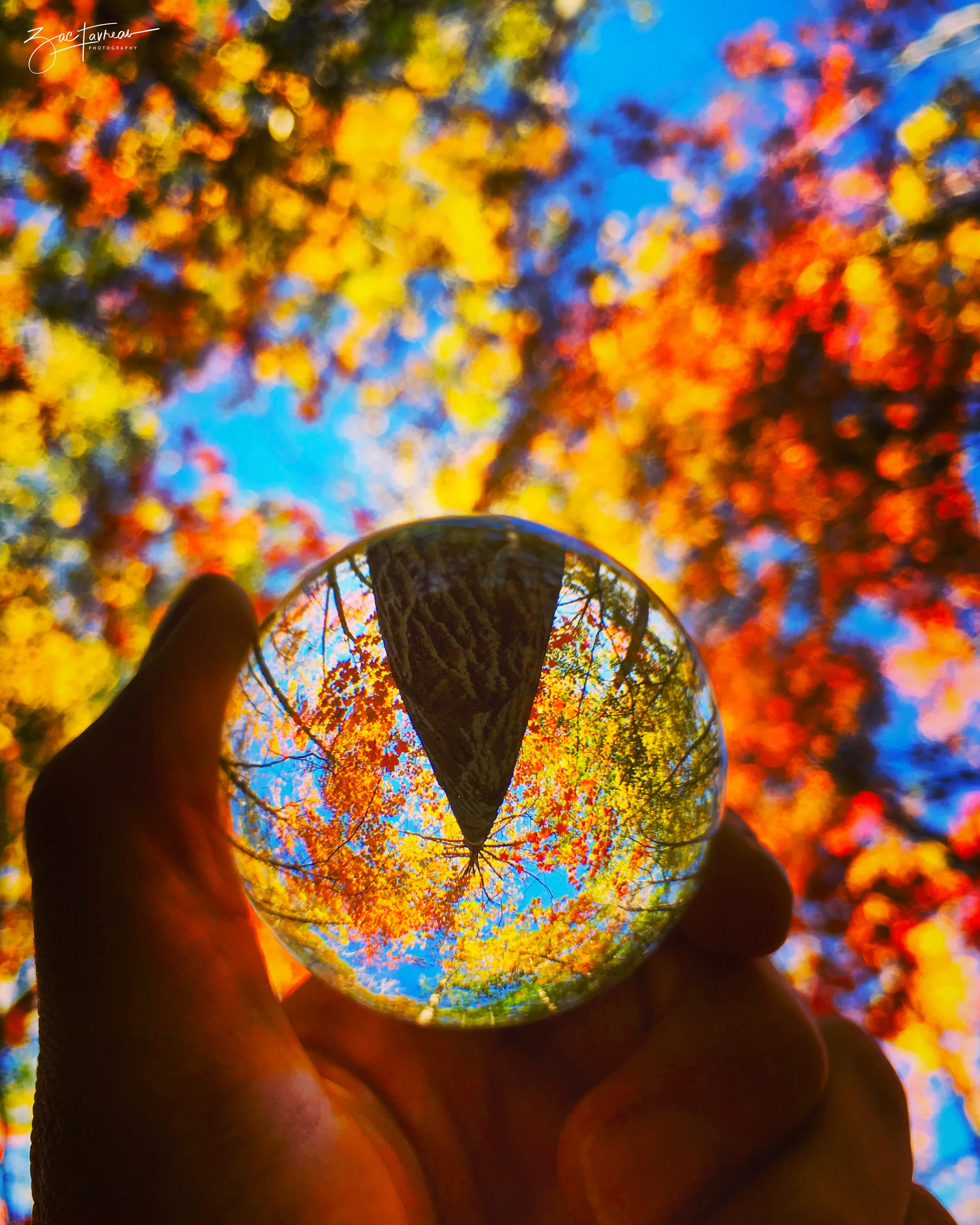 lensball.jpg