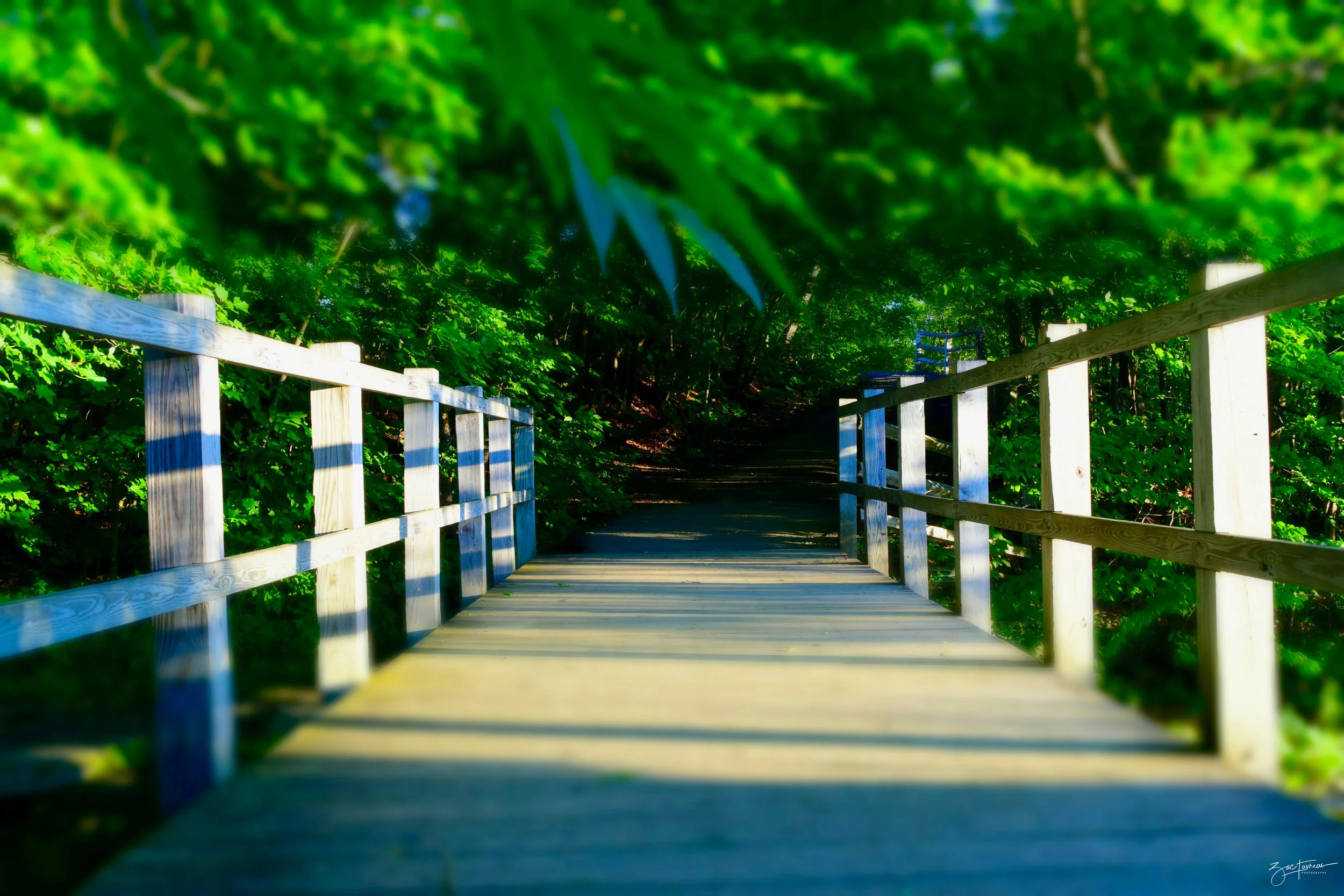 bridge.jpg
