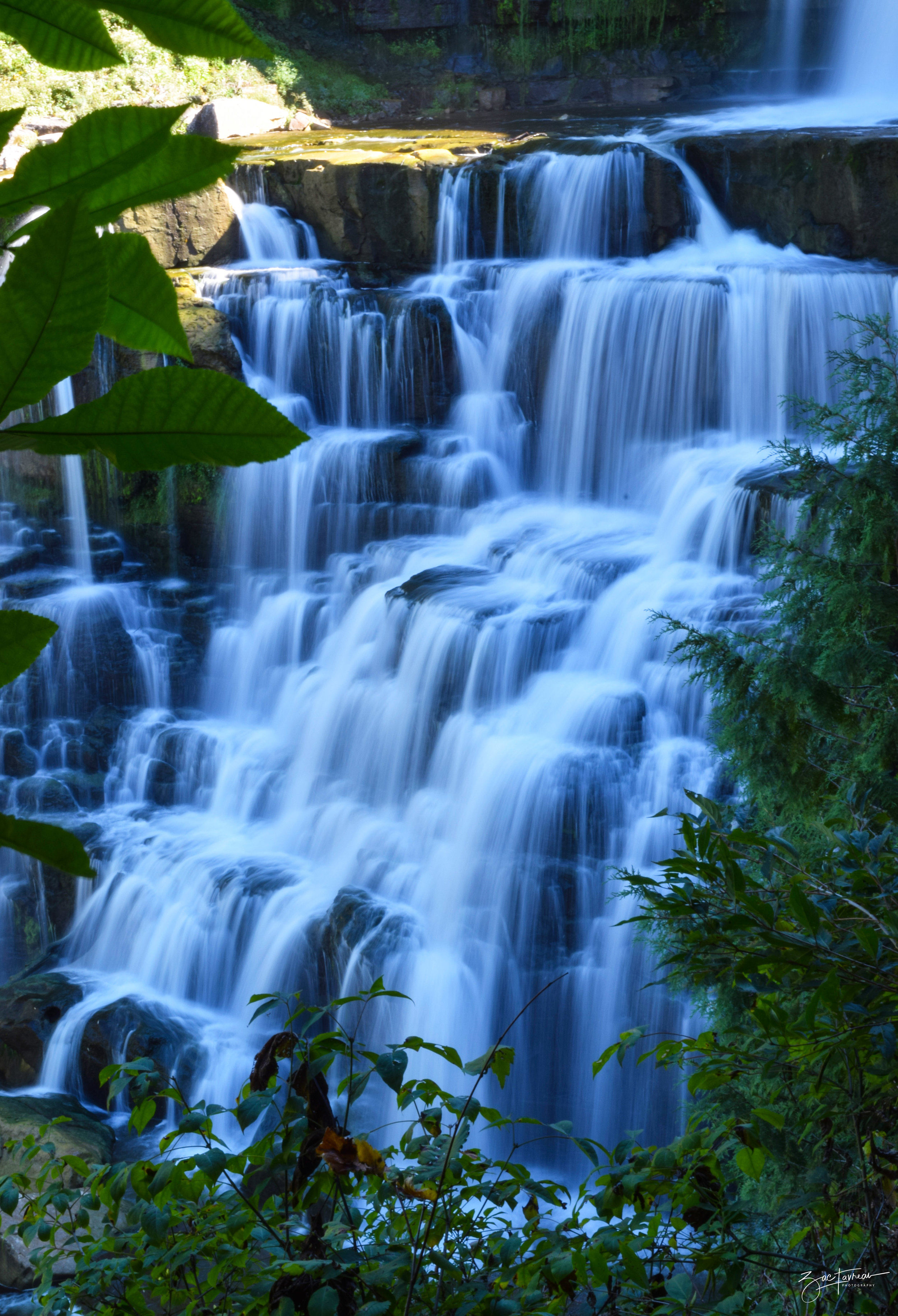 falls2.jpg