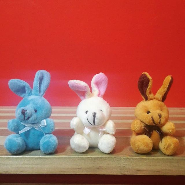 Starting Monday... can you find our cute little bunnies? CAN YOU EGGSCAPE? 15-22 April 2019

#york #yorkshire #escaperoom #easter #easterholidays
