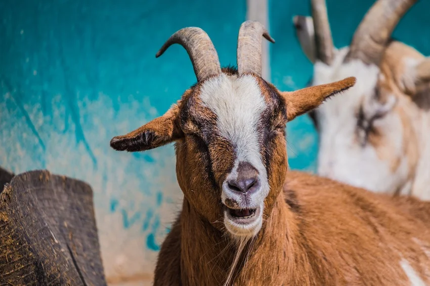 Photo by Quentin Kemmel on Unsplash
