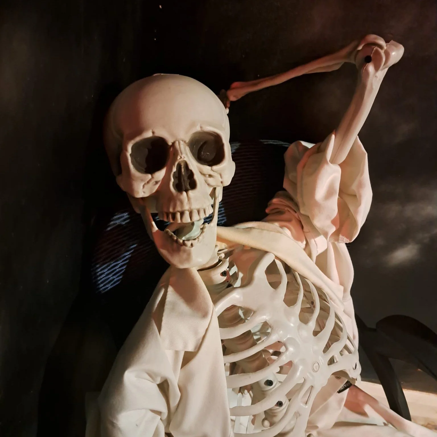 This is Bill.
Bill once tried to contain the outbreak.
Bill now&hellip; supervises.
Quietly.
Forever.
👻

Think your team can stop the virus before you join him?

🎟️ Book Contagion now - https://canyouescapeyork.resova.co.uk/items/availability