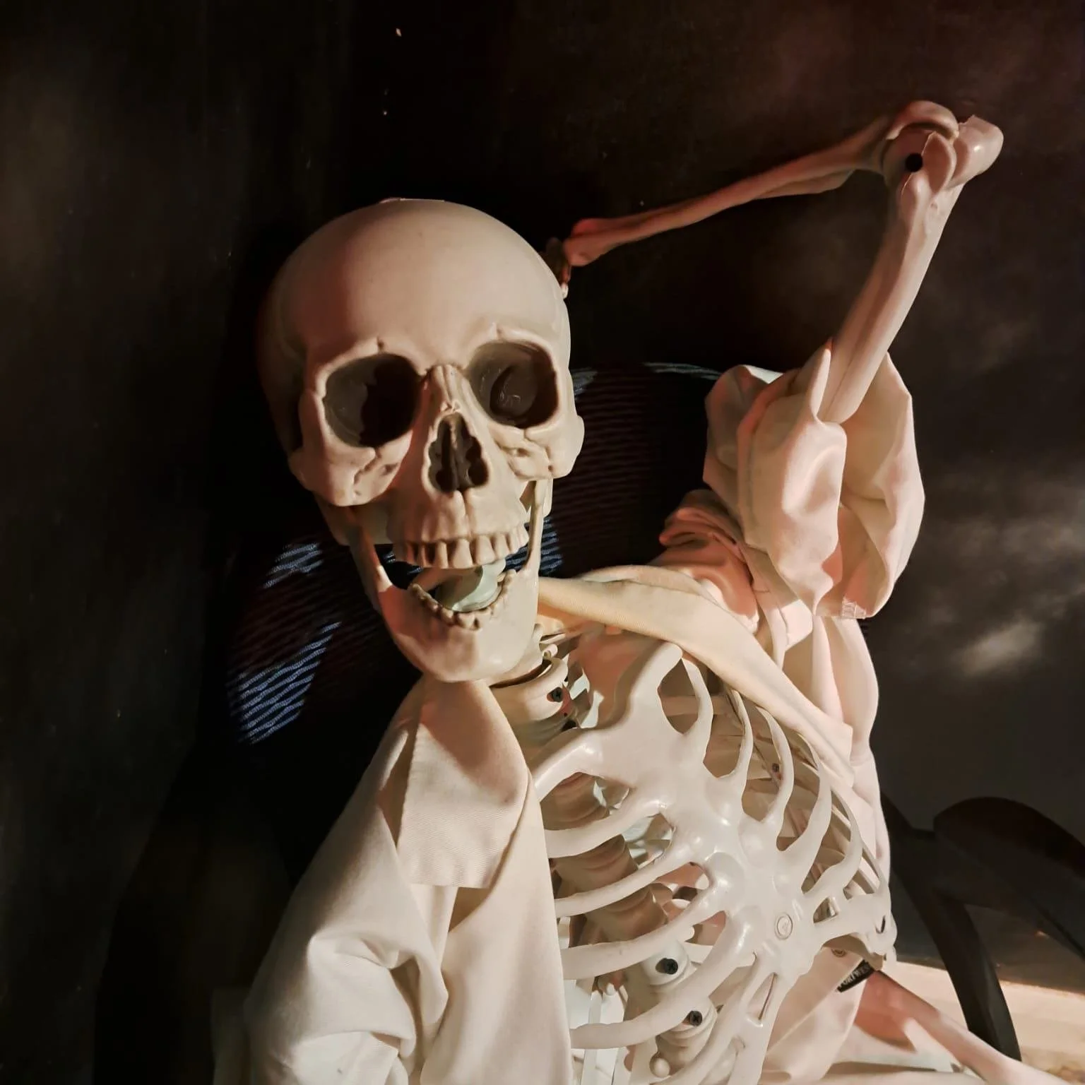 Merry Christmas from everyone here (Bill too) at Can You Escape? York! We hope you all have a lovely day! ❤❤❤