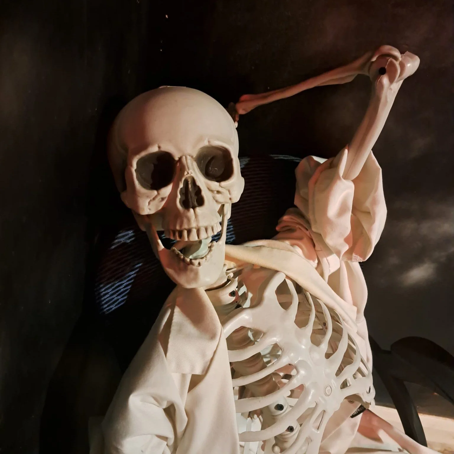 Come pay Bill a visit in our Contagion room!

He's ever so lonely since getting locked in there.

Book your escape now!
https://canyouescapeyork.resova.co.uk/items/availability