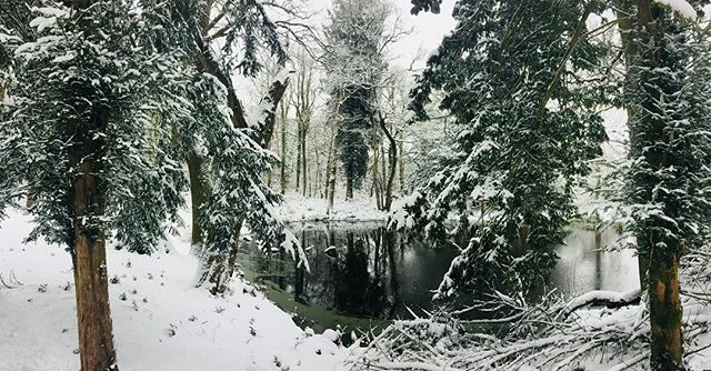 Narnia ❄️
#BoltholeForAllSeasons #HungerOfThePines