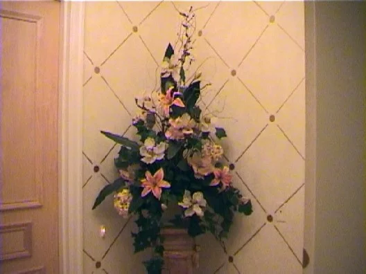 pic8.jpg
