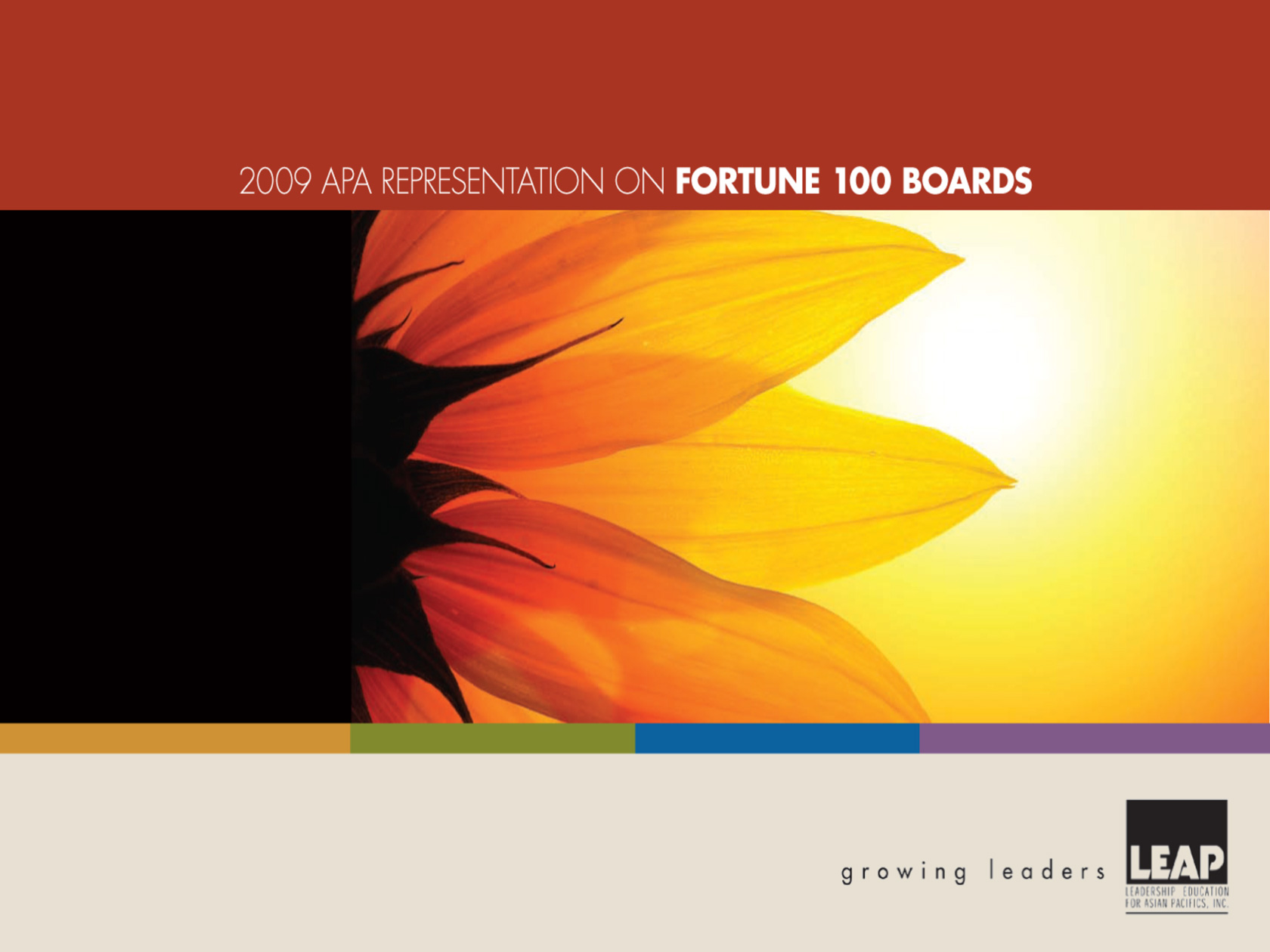 2009 APA Representation on Fortune 100 Boards (Copy)