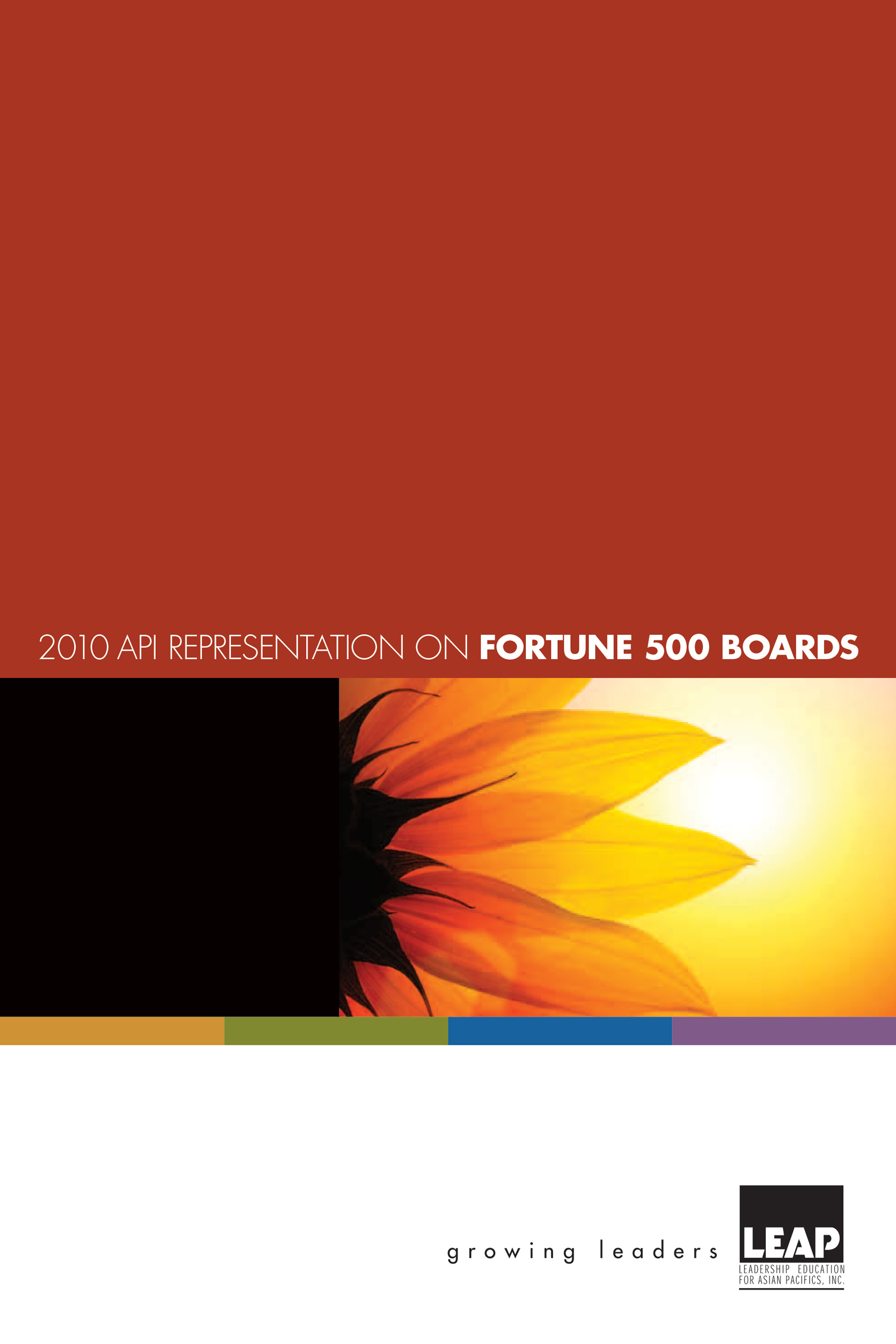2010 API Representation on Fortune 500 Boards (Copy)