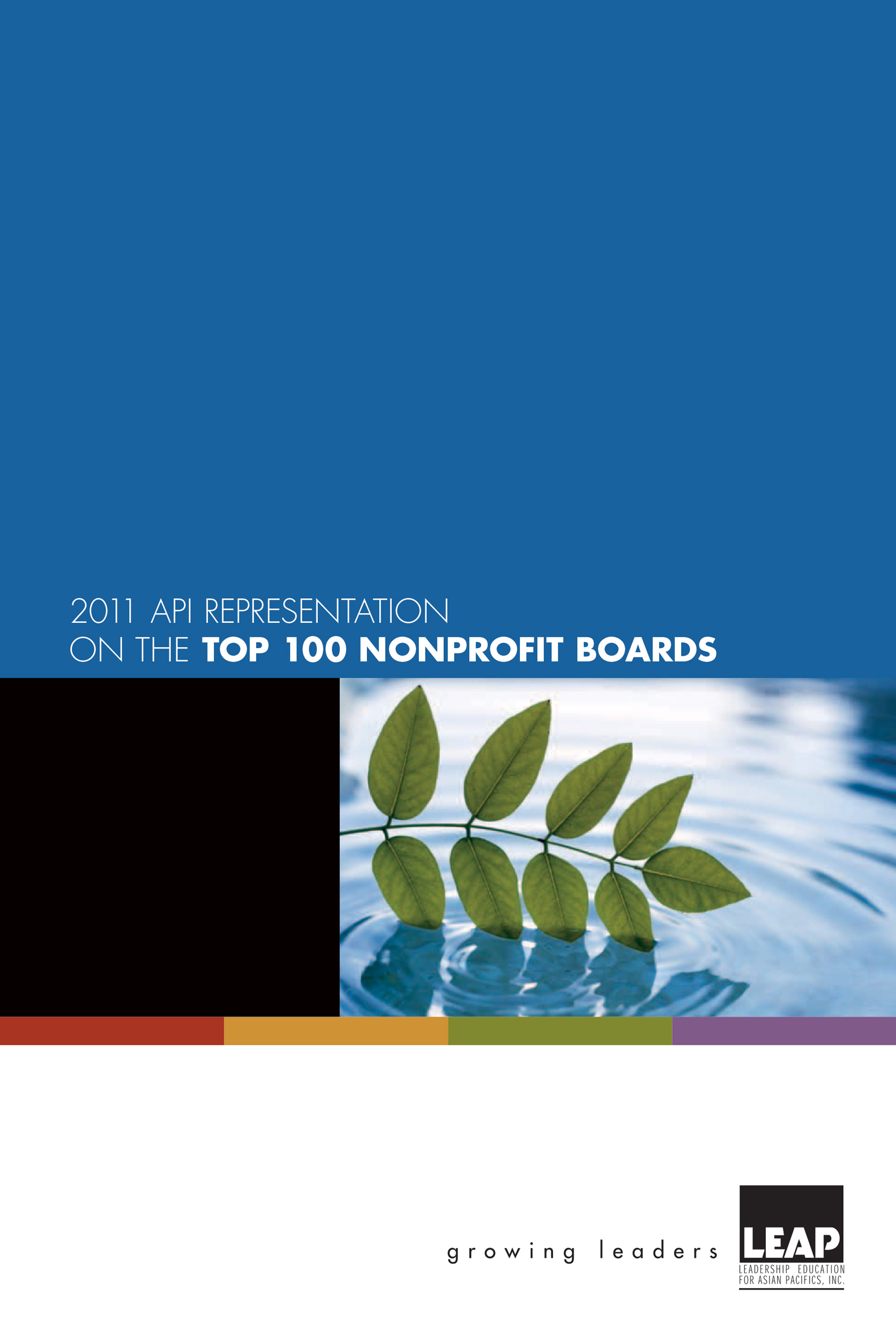2011 API Representation on the Top 100 Non-Profit Boards (Copy) (Copy) (Copy)