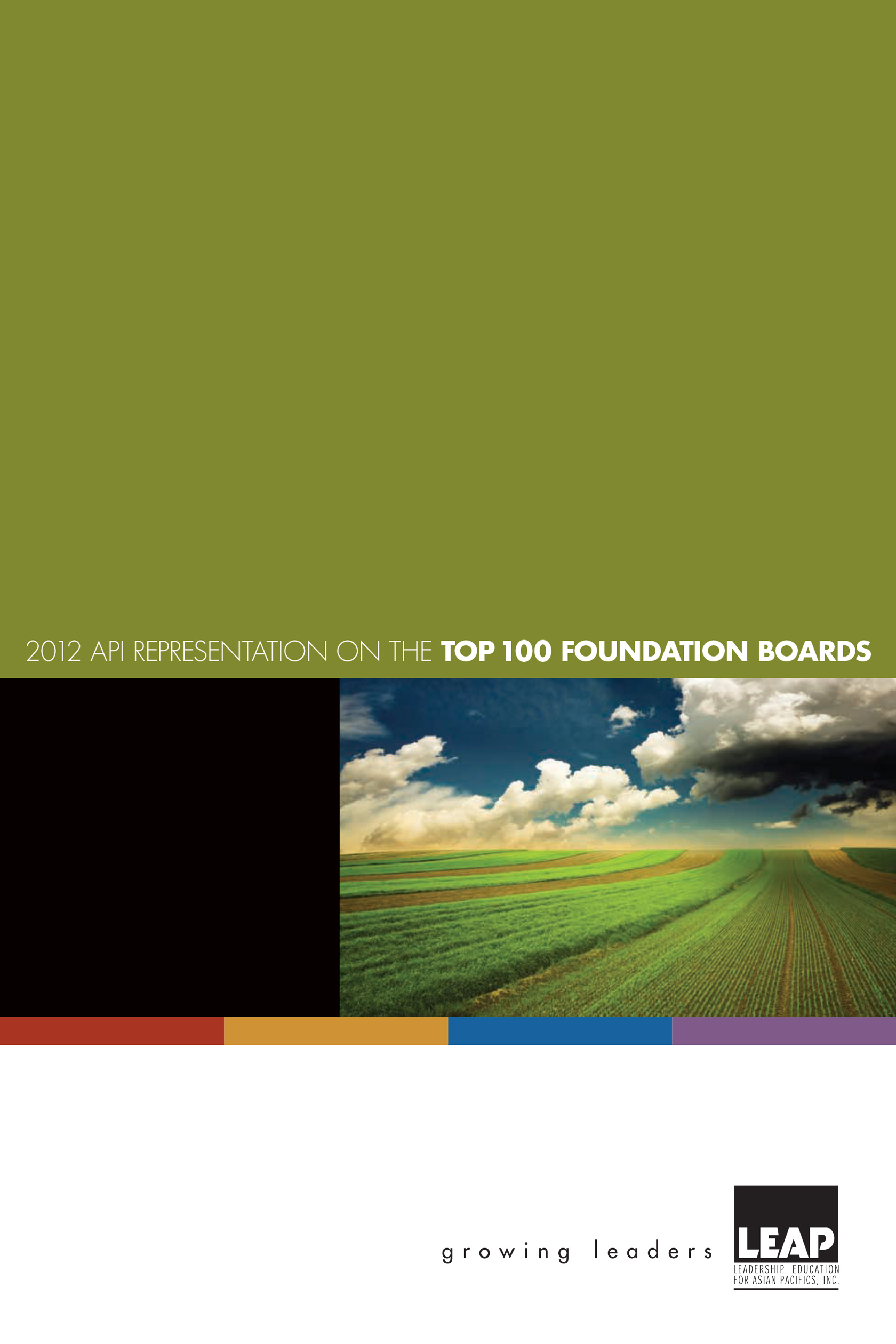 2012 API Representation on the Top 100 Foundation Boards (Copy)