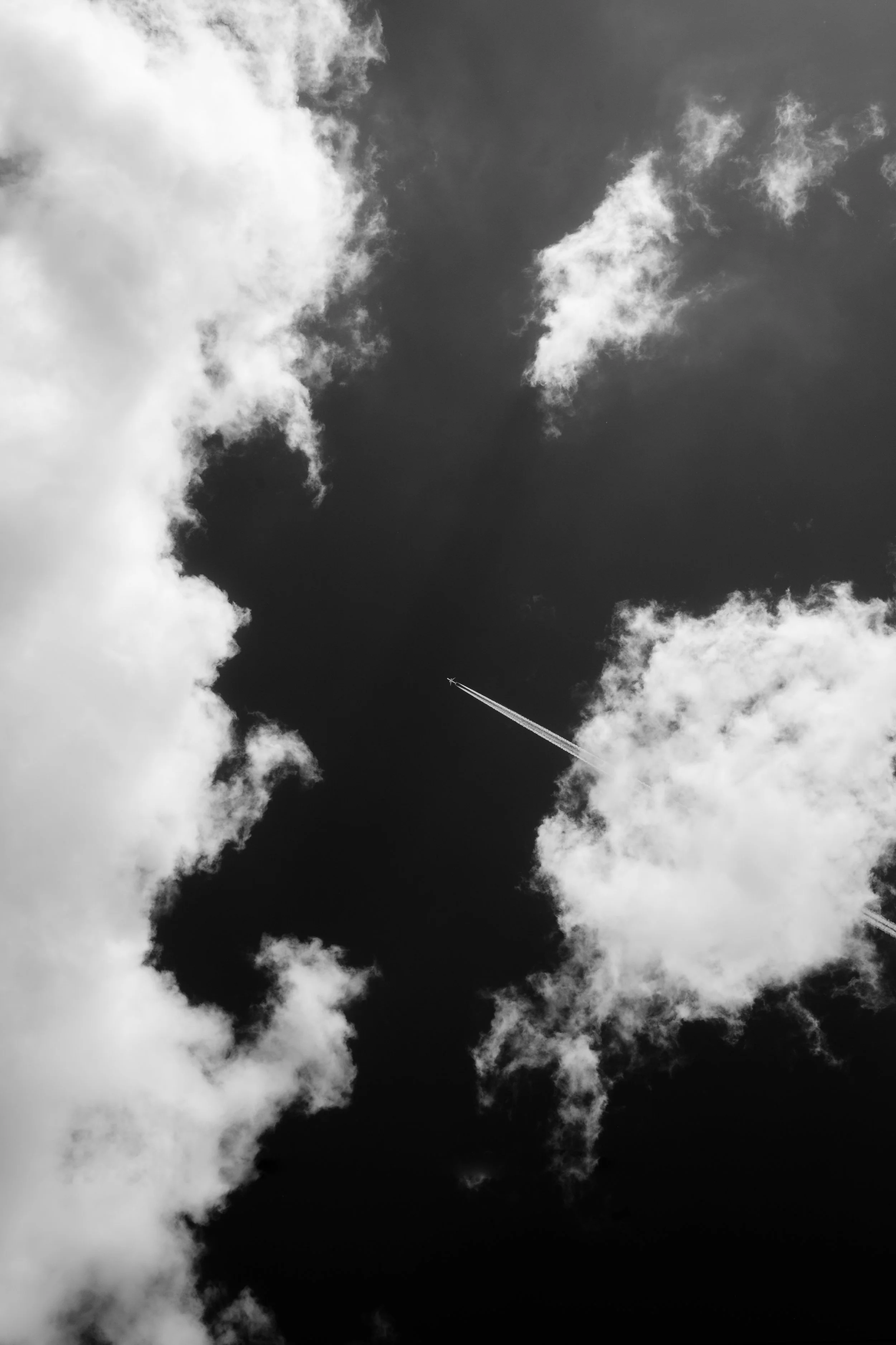 London 05.2025-3124.jpg
