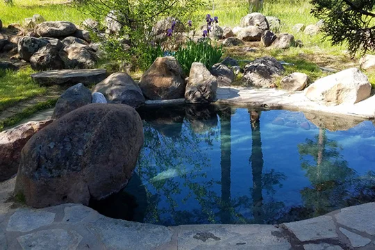 meditationpool1 (1).jpeg