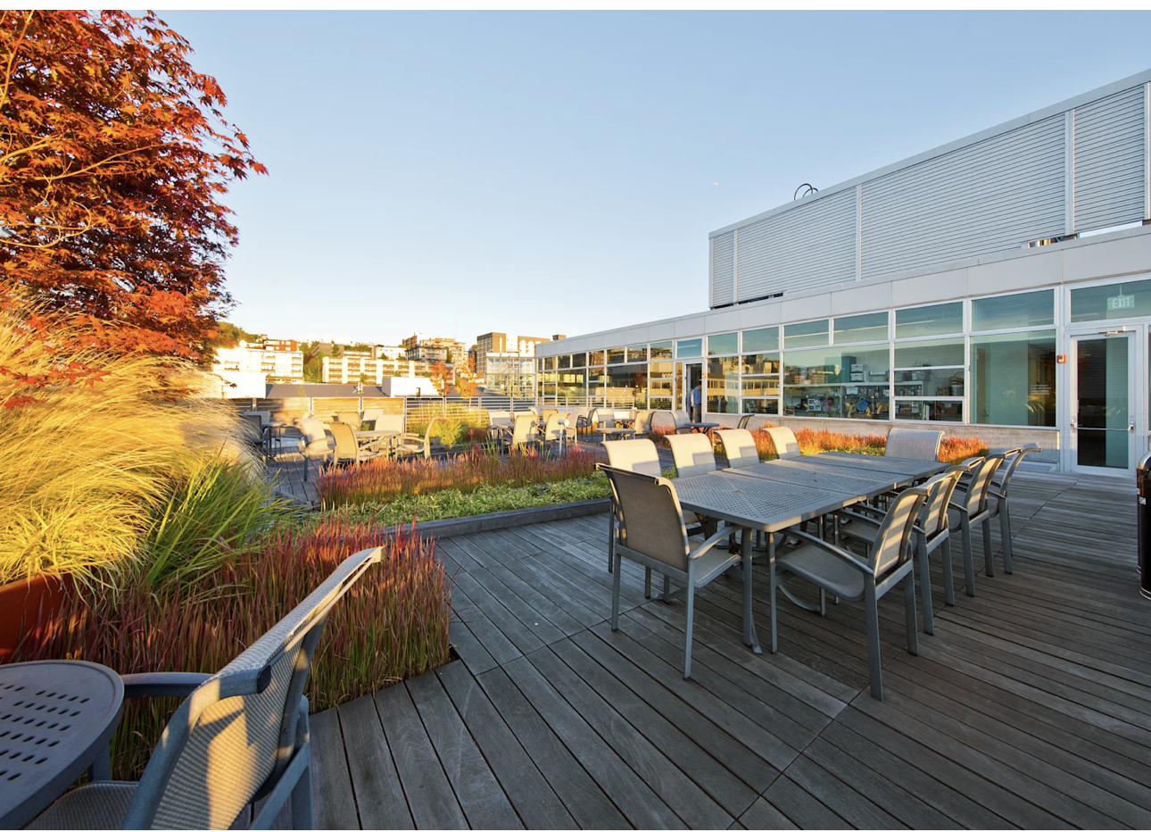 nbbj roof deck.png