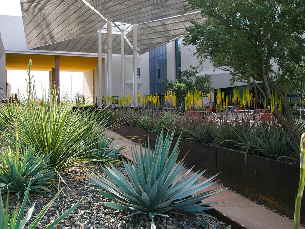 health futures 5.jpg