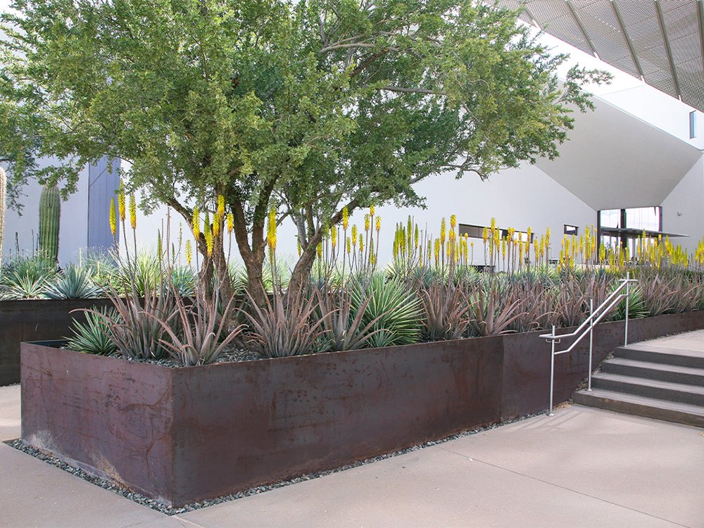 health futures 2.jpg