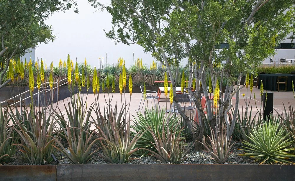 health futures 8.jpg