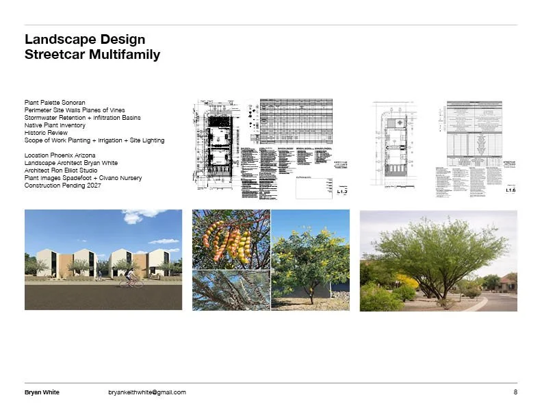 Landscape Design Streetcar Multifamily.jpg