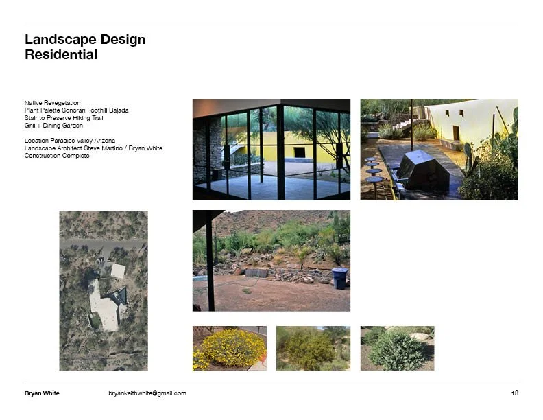 Martino Cholla PV1.jpg