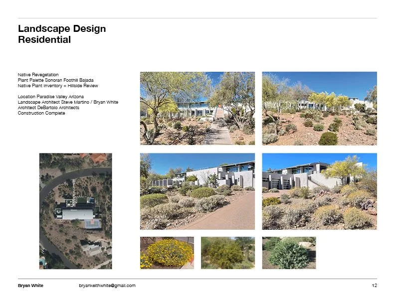 Martino PV3 Debartolo.jpg