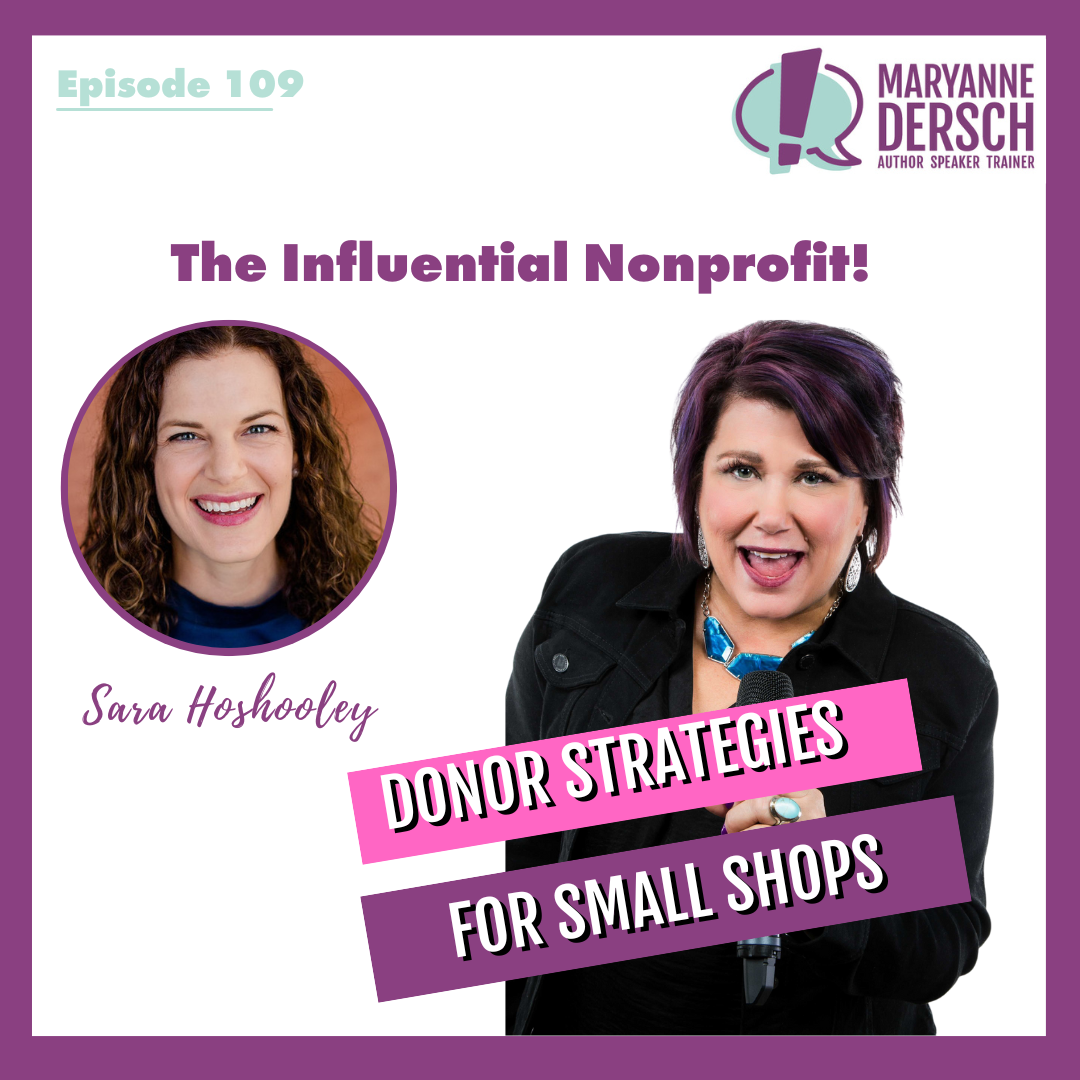 The Influential Nonprofit: Episode 109: Sara Hoshooley: Donor Strategies For Small Shops
