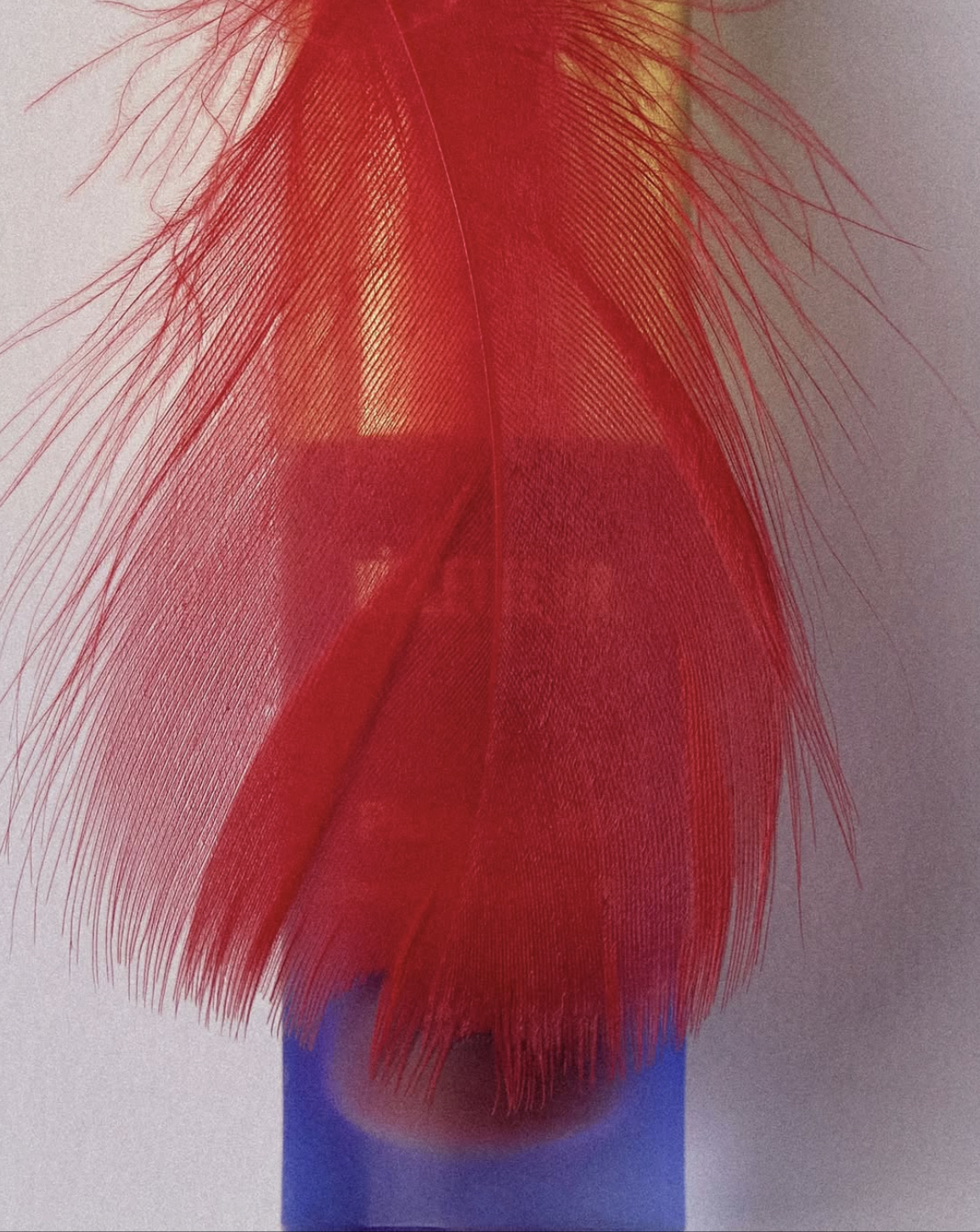 Screenshot 2026-02-11 at 2.33.06 PM.png