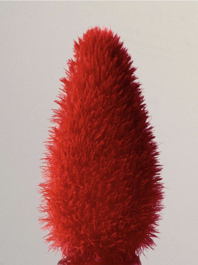 Screenshot 2026-02-11 at 4.56.25 PM.png