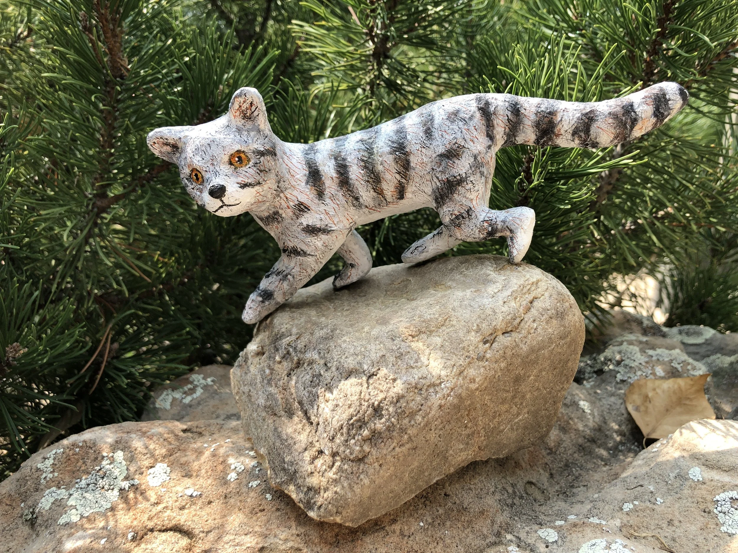 Andean Cat 2.JPG