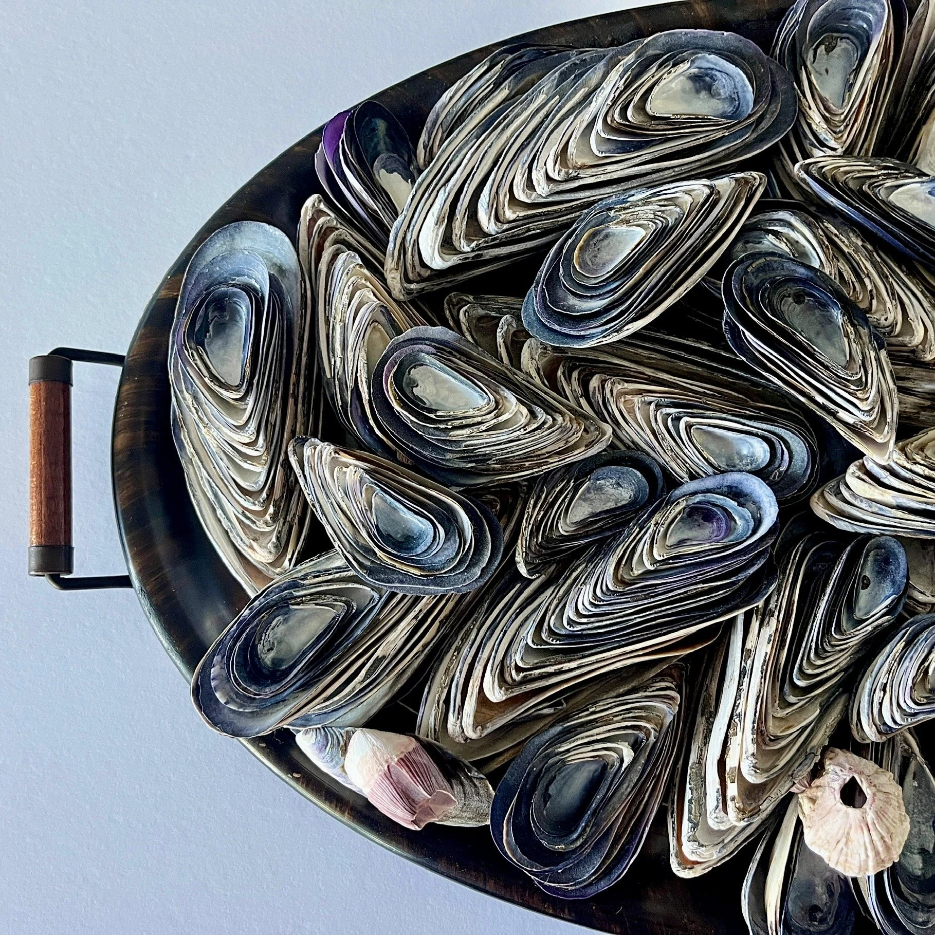 "Mussels on the Half Shell"