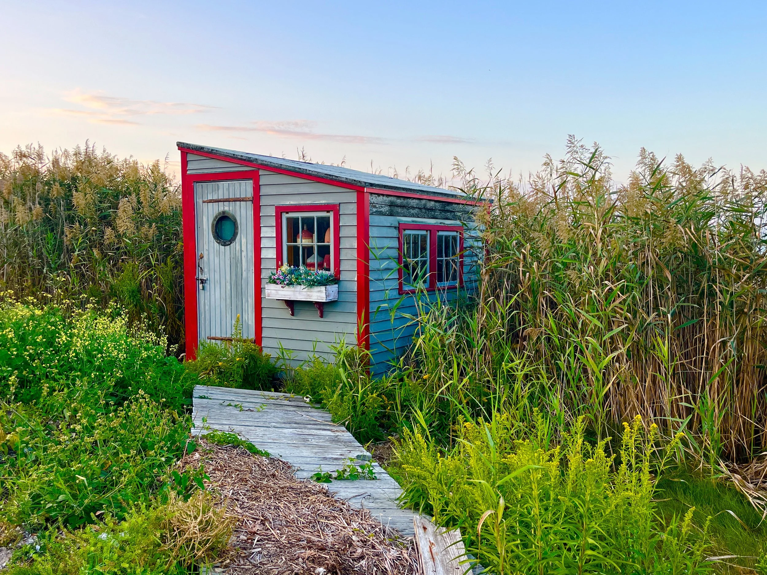 "Shack in Red"