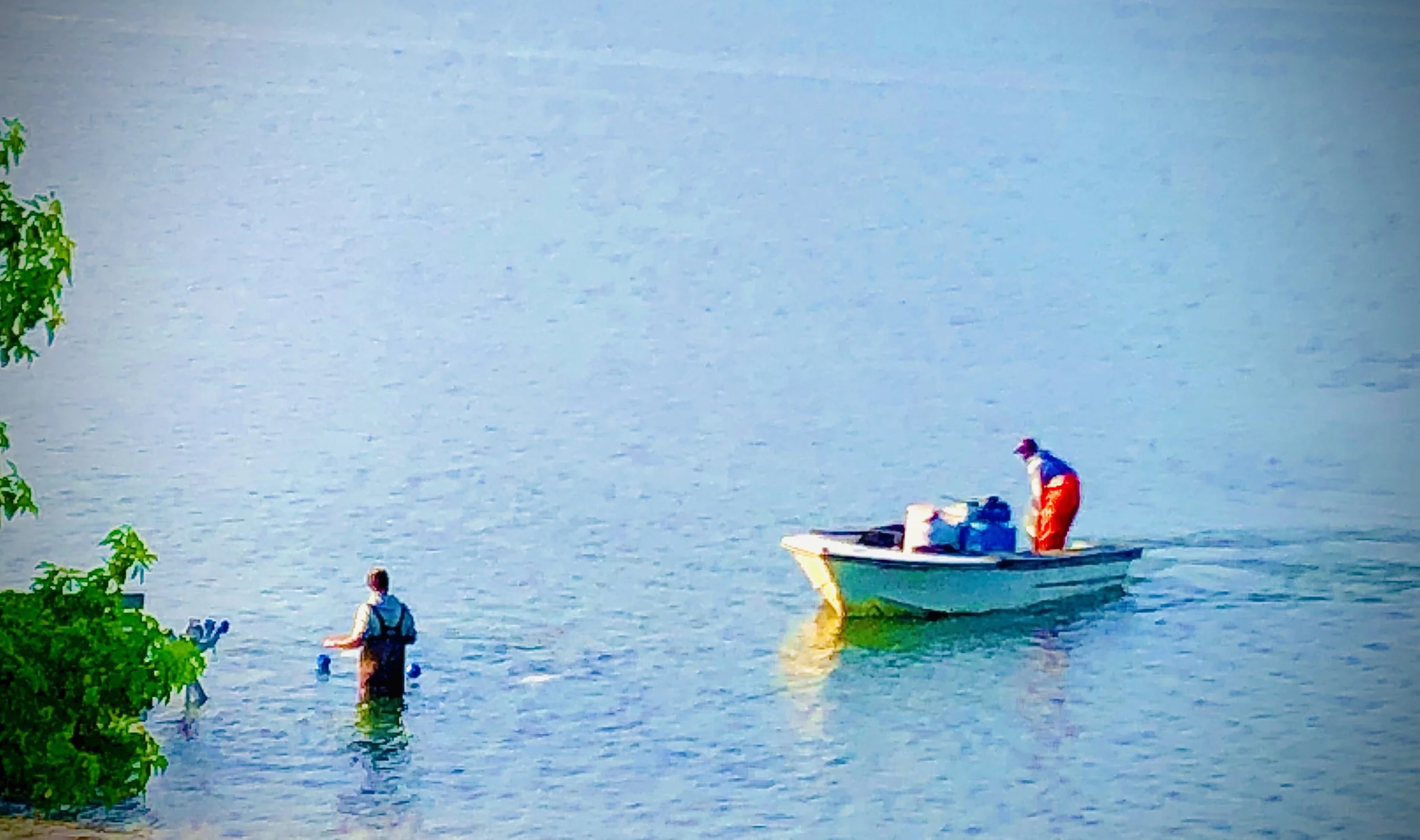 "Baymen"
