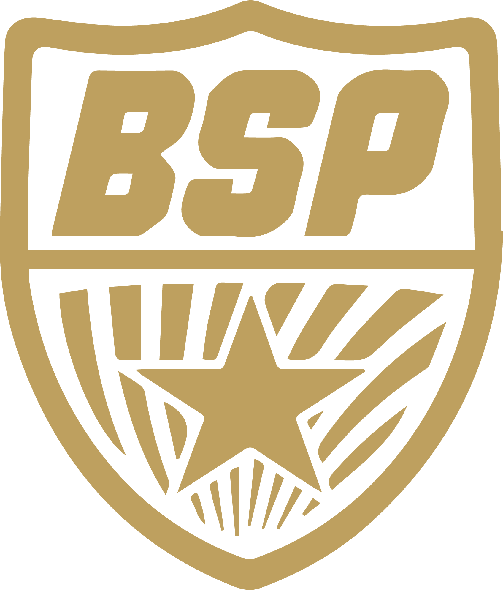 Artboard 1gold bsp logo.png