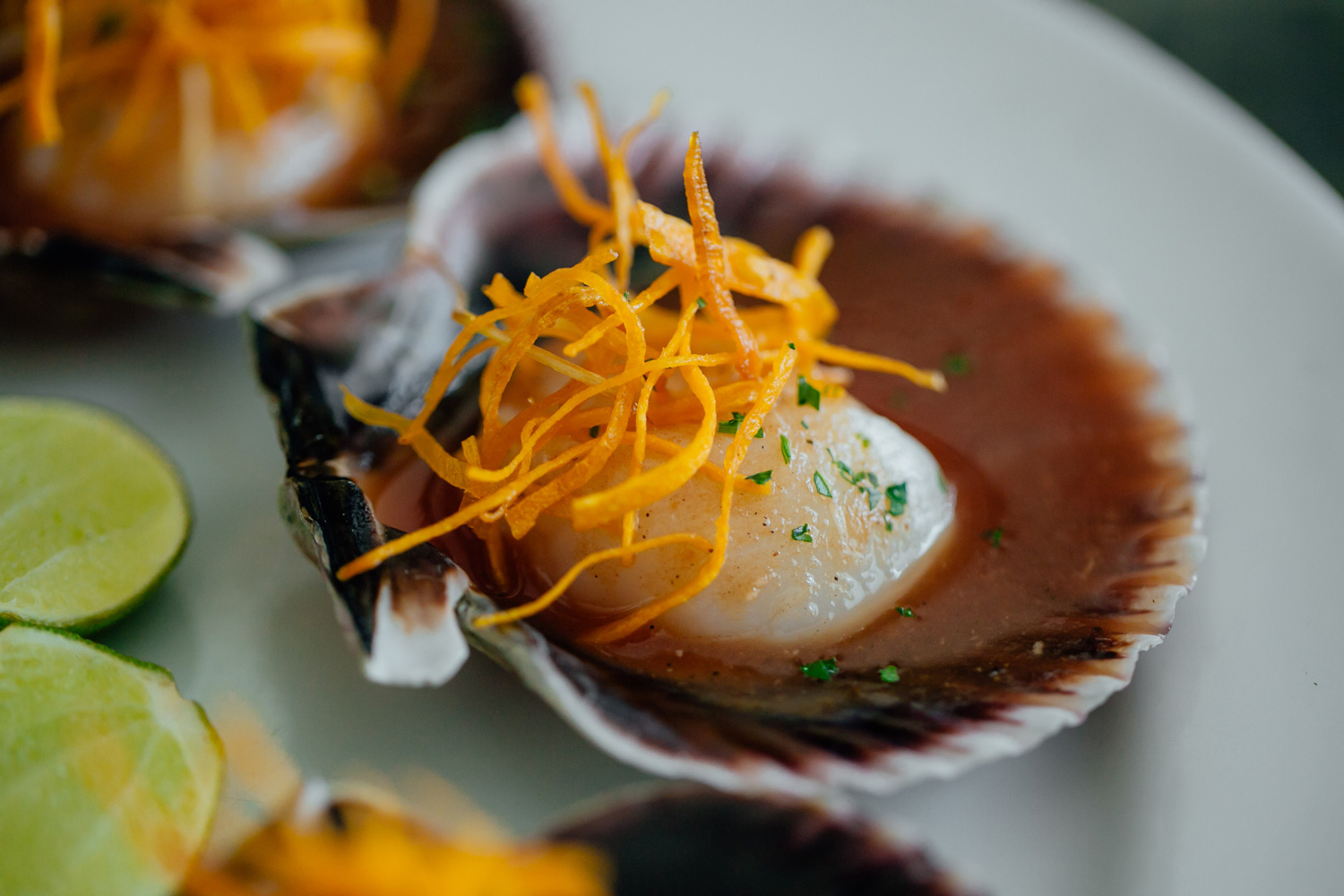 Cabos-Tiradito-Conchas-02.jpg