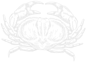 cangrejo_derecha.png