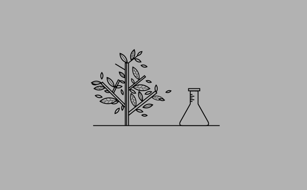Penny_Lorber_True_Botanicals_02.gif