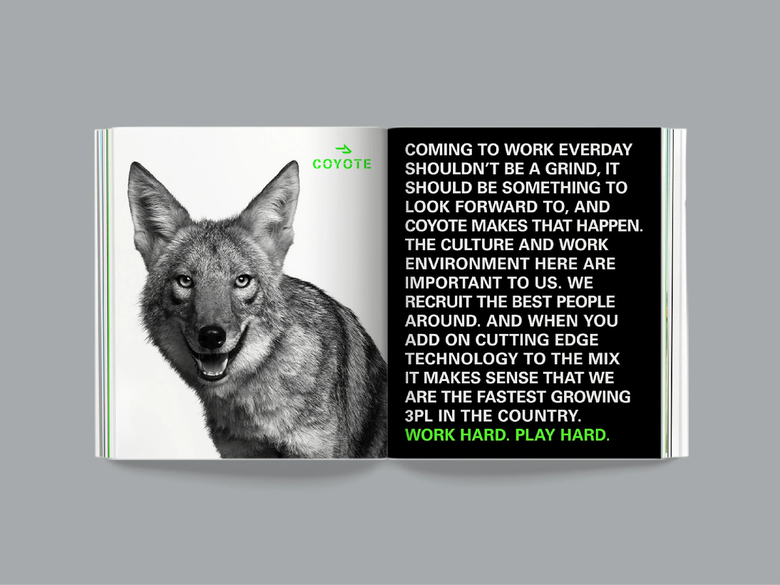 Penny_Lorber_Coyote_22.jpg