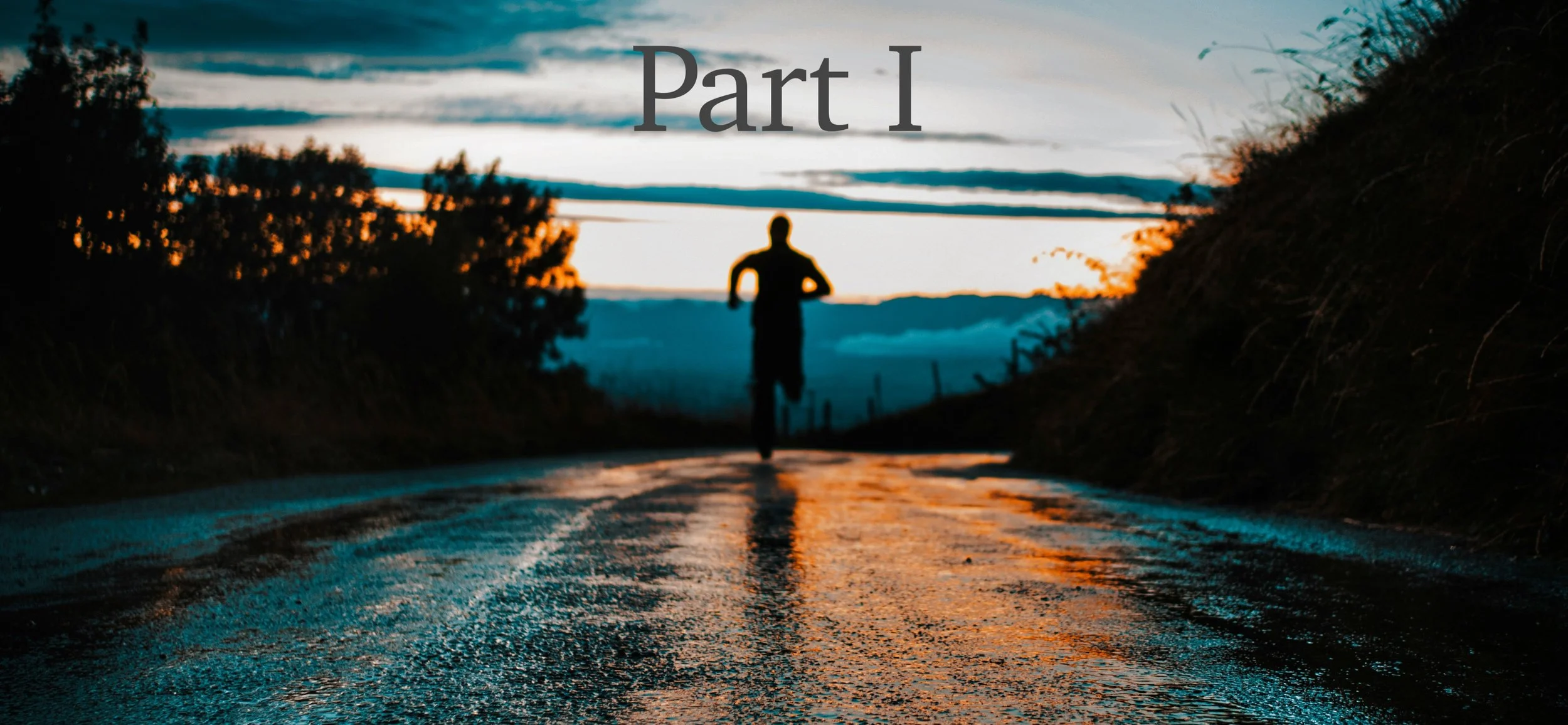 Part I: Understanding the Fight, Flight, Freeze Response in Trauma