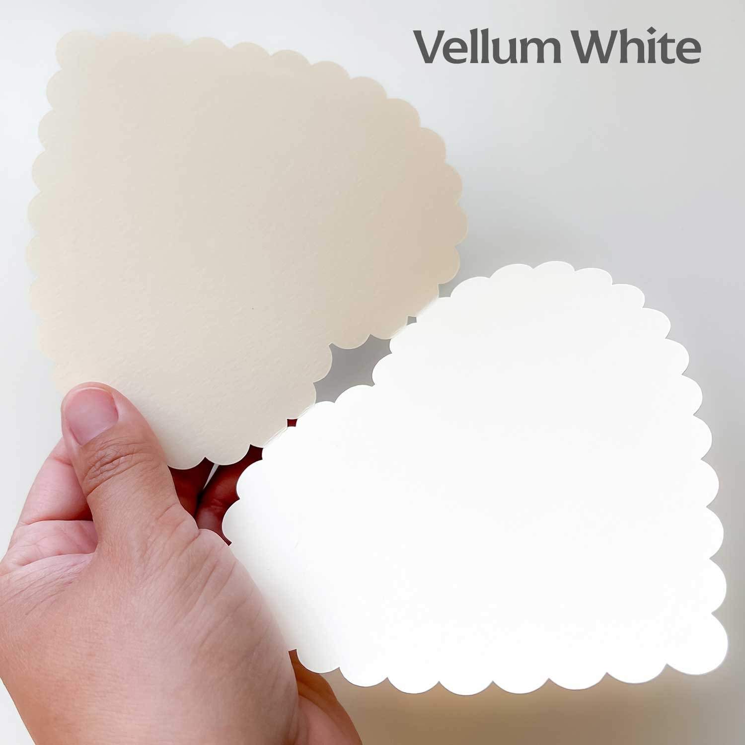 Busy Bees PDF — Flourishing Fibers Embroidery & Notions Like No Other