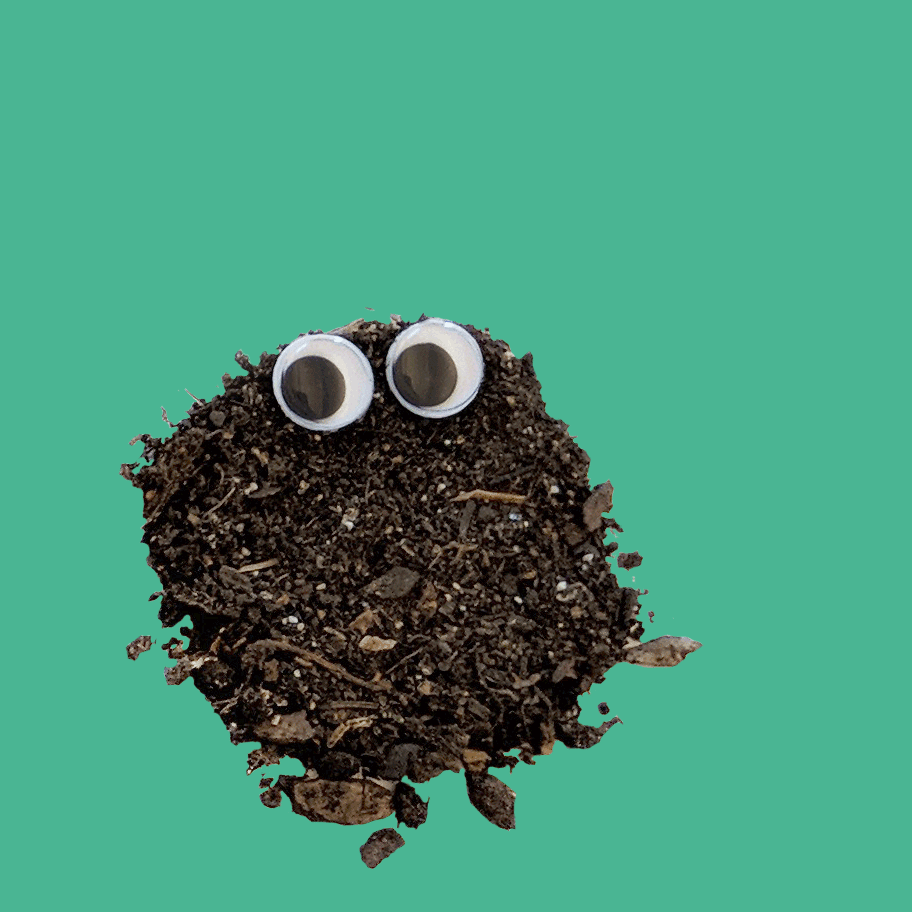 4-EarthDay_Dirt.gif